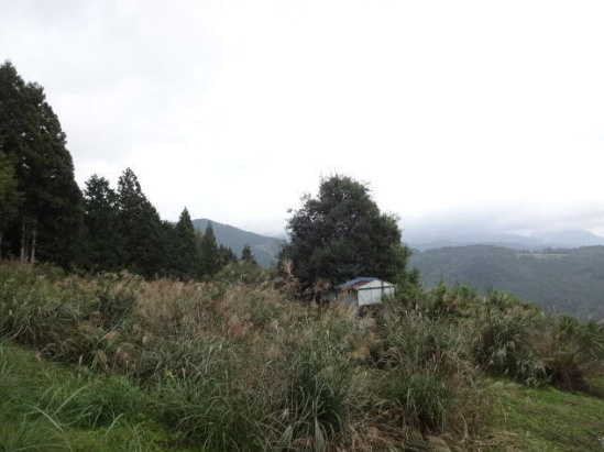 売土地　静岡市葵区杉尾の外観