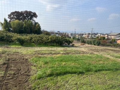 【その他】 | リブリ・グリーンSTAGE