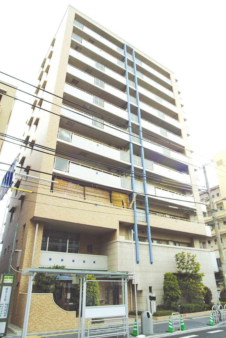 アルスセキメの画像