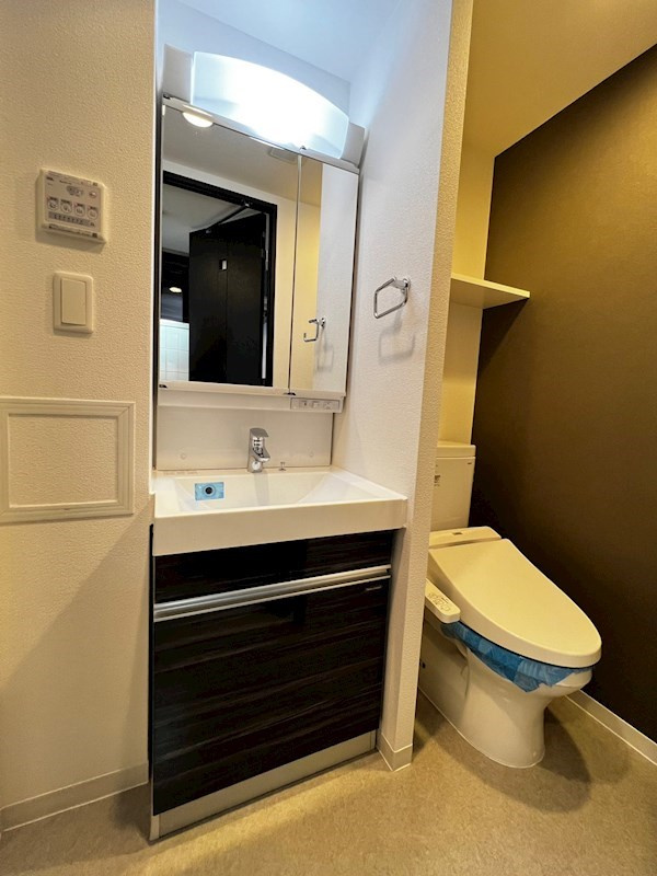 スワンズ谷町セントシティの洗面所