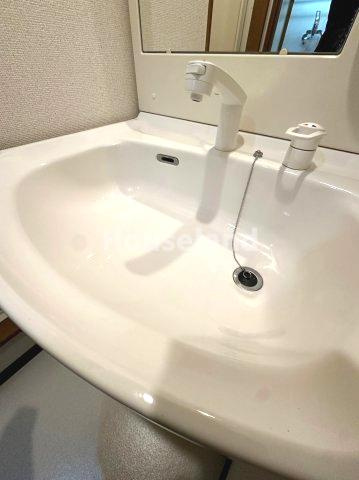 フジパレス太田Ⅱ番館の洗面所