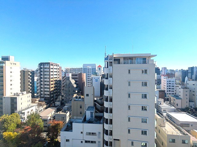 geo ent上野稲荷町の設備|12F、5.6帖洋室の東向きの窓からの眺望です、上層階からは隅田川花火見えます