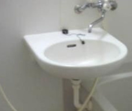 フローラ富士見台の洗面所