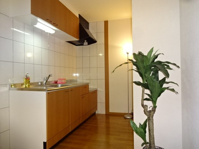 グランドフォレストのキッチン|キッチン