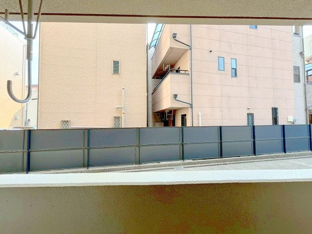 プラシードの展望