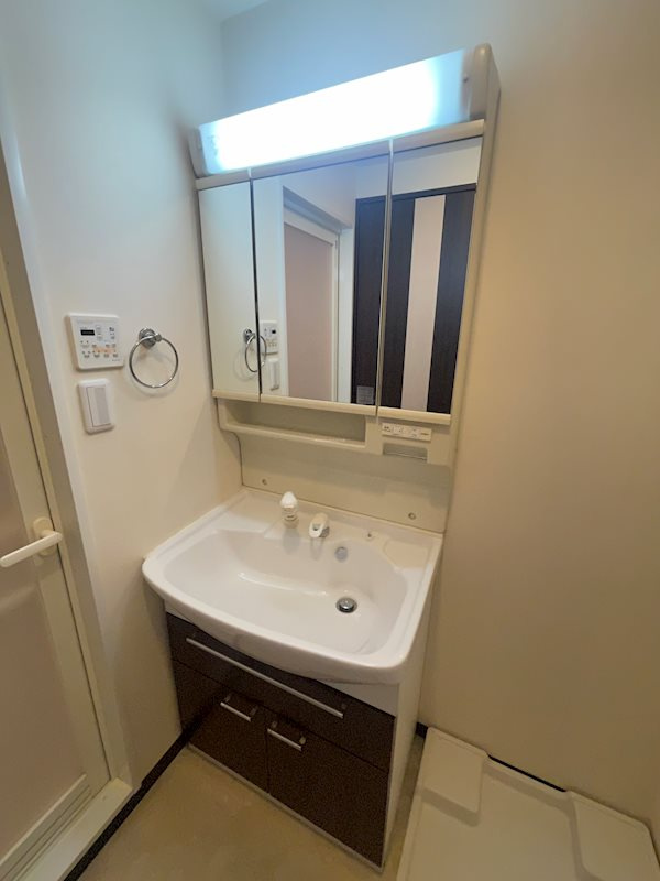 アプリーレ南堀江 (旧プレジオ南堀江)の洗面所