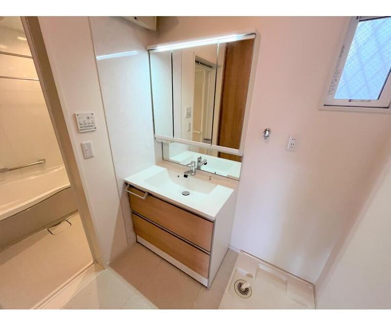 東大阪市玉串町東2丁目戸建貸家の洗面所