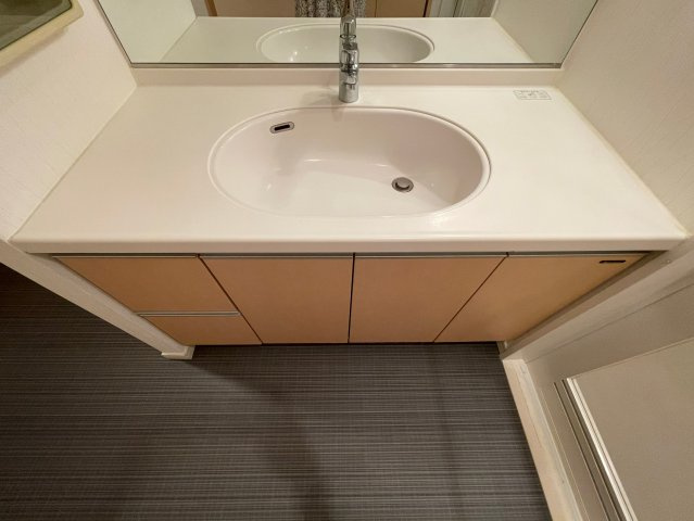 フィールA渋谷の独立洗面台|フィールA渋谷
※別号室参考画像