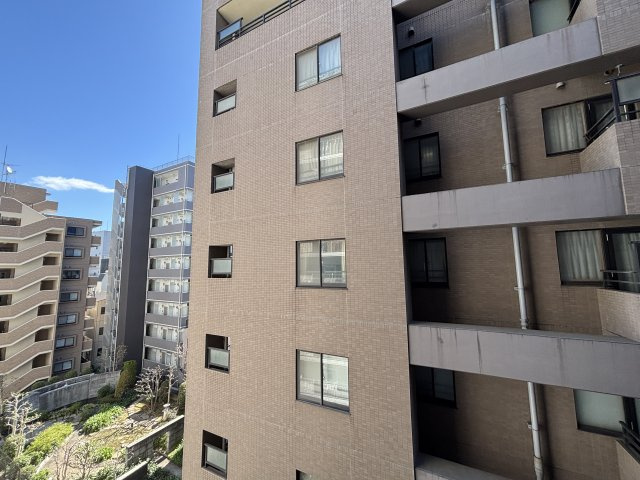 コープ木場の展望