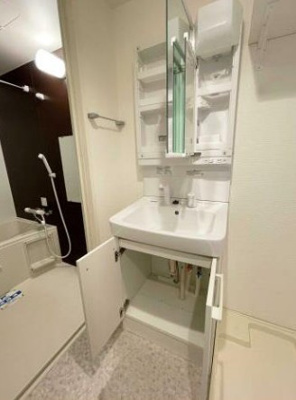 【独立洗面台】 | スカイコートパレス蒲田Ⅱ