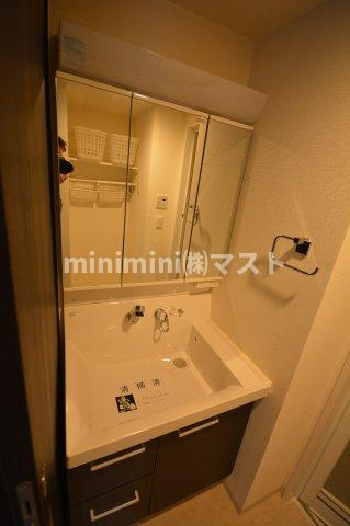 エステムコート難波サウスプレイスⅣパークグレイスの洗面所