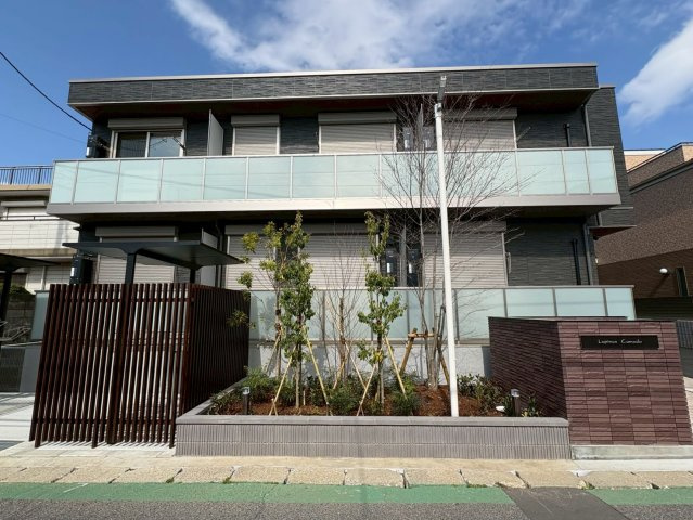 ルピナスコモド