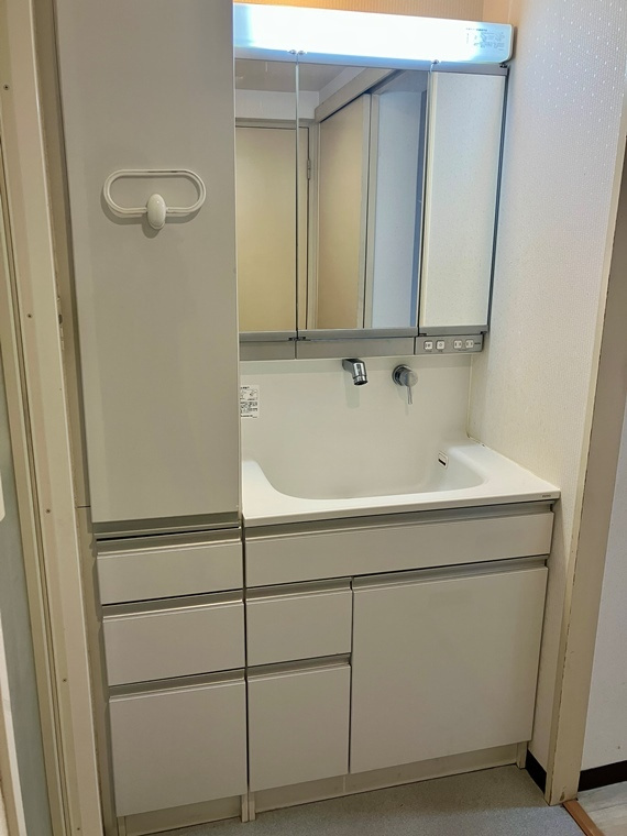 新ゆりグリーンタウン楠街区1号棟の洗面所