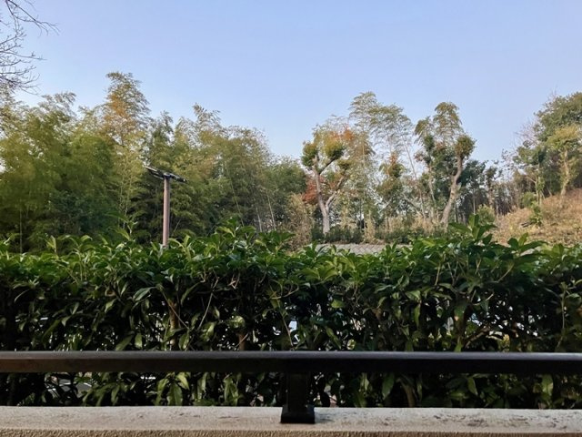 新ゆりグリーンタウン楠街区1号棟の展望