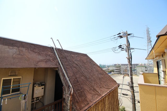 ビーフェリスの展望