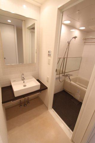 プライムアーバン目黒大橋ヒルズ　礼金0　宅配BOX　浴室乾燥の洗面所