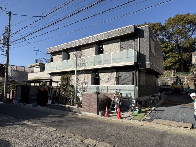 ルピナスコモド