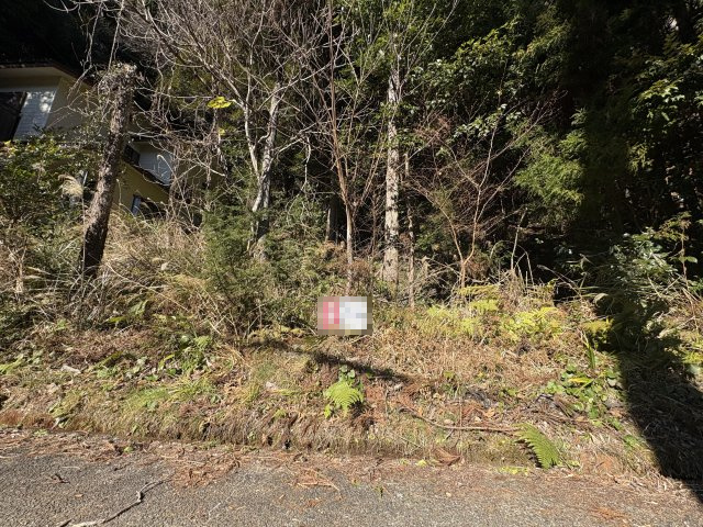 土地　伊豆市吉奈