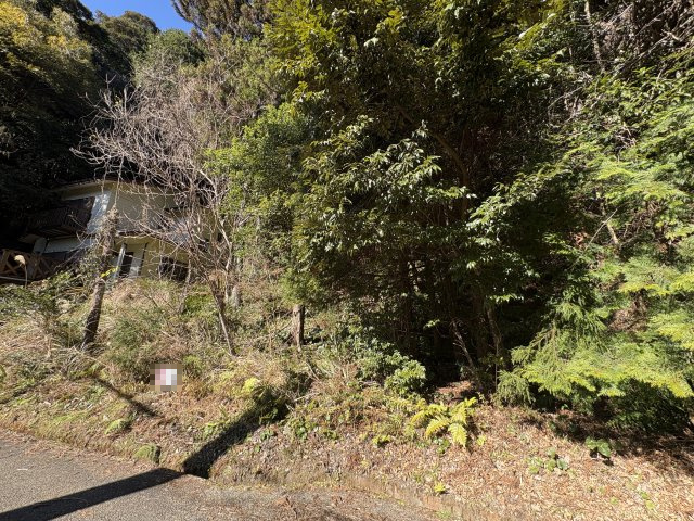 土地　伊豆市吉奈の外観|土地100坪以上