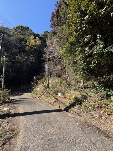 土地　伊豆市吉奈の周辺|鳥のさえずりや木々の香りに包まれた、癒しの空間です。