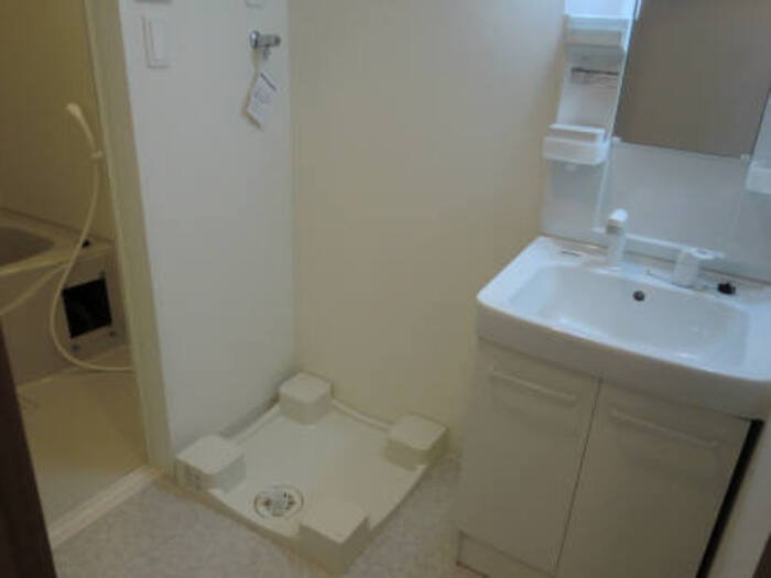 フロンティア・コンフォート研究学園の独立洗面台|脱衣所