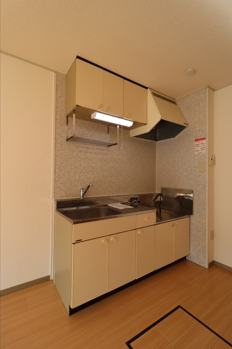 プレールＳＥＧＡＷＡ　B棟のキッチン
