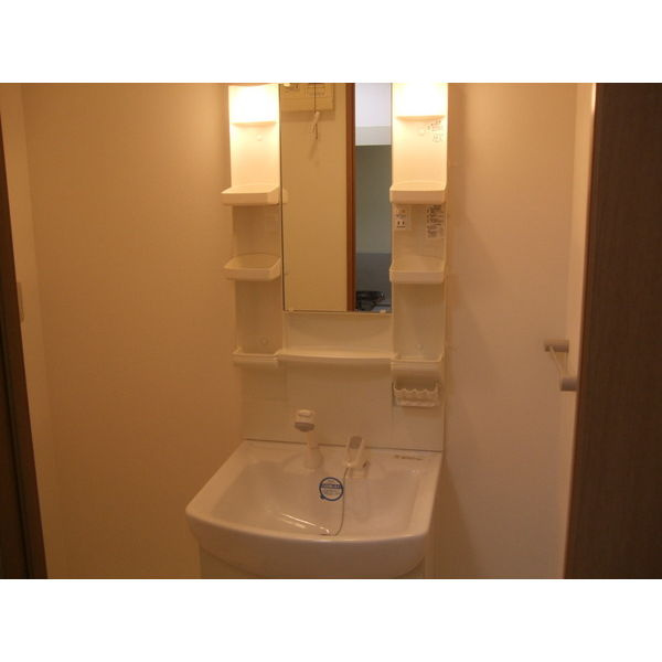 willDo太閤通の洗面所