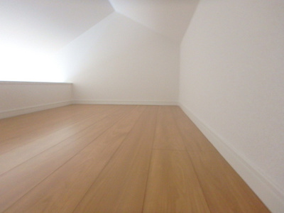 【その他】 | ヴェルミオン