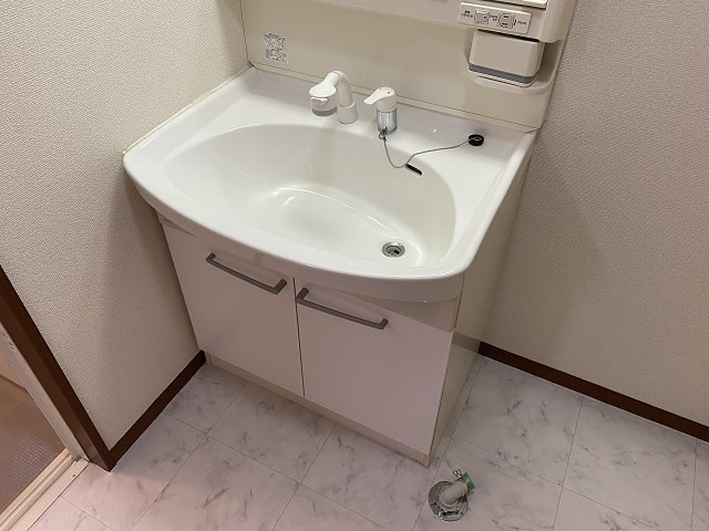 シャーメゾン北夙川A棟の洗面所