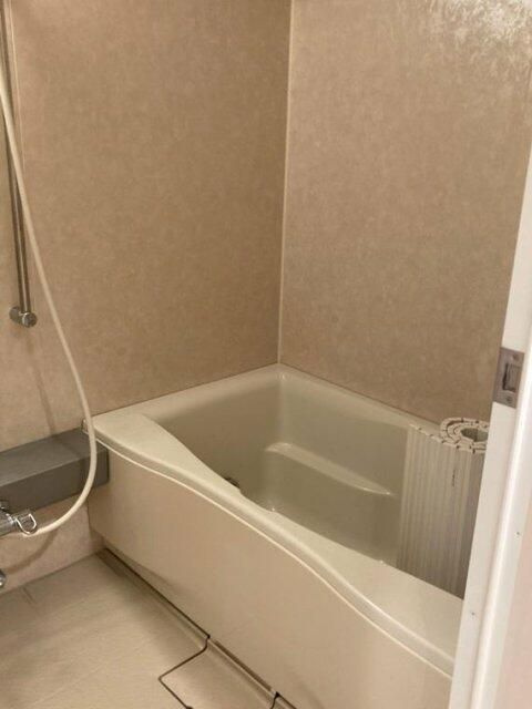 デュオ・スカーラ田端の浴室