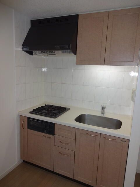 デュオ・スカーラ田端のキッチン