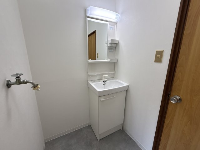 シンプルライフ田寺の洗面所