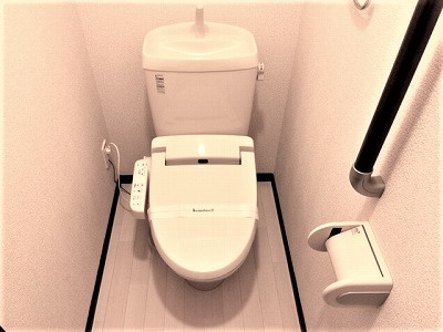 レオネクストトレランスⅡのトイレ|画像4