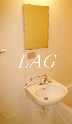 【洗面所】 | グリーンフォレスト | 洗面台です。