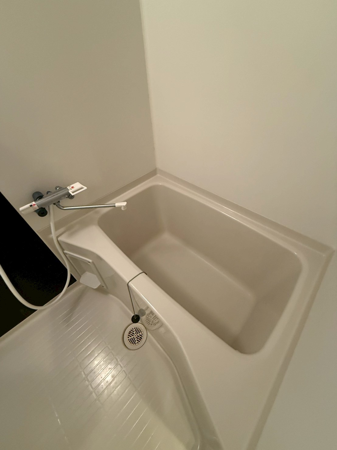 ザ・パーククロス阿波座の浴室