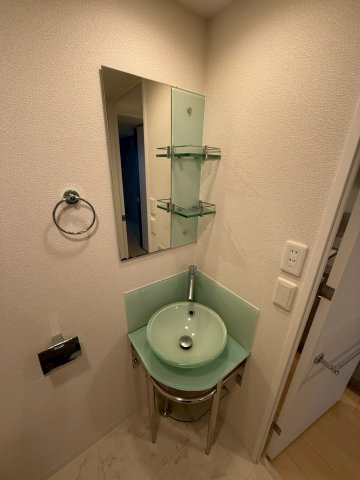 ザ・パーククロス阿波座の洗面所