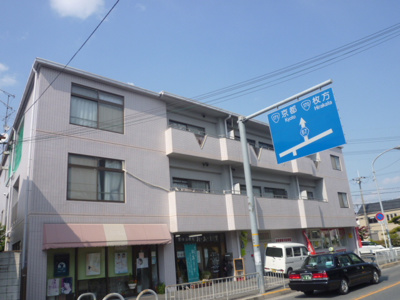 【その他】 | ラベンダー真上
