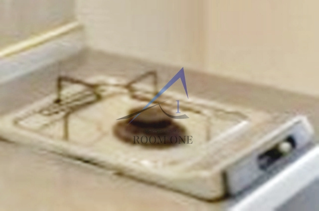 菱和パレス文京南のその他