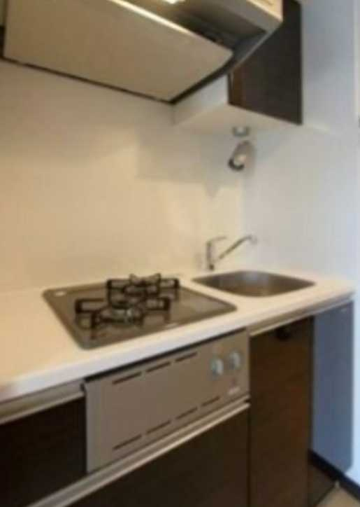 GENOVIA三軒茶屋 green veil　敷金0　ペット相談可　バイク置き場のキッチン