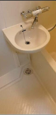 ソレイユ和泉の洗面所