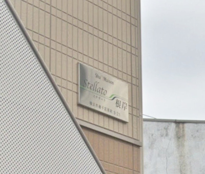 【その他】 | ステラート根岸