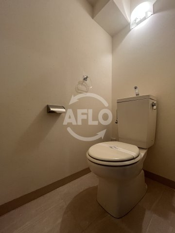 プランドールSakaeIIのトイレ|プランドールSakaeⅡ　トイレ