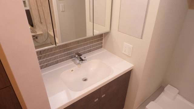 ザ・パークハビオ本郷菊坂の洗面所