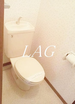 【トイレ】 | セントアイヴィス向島 | トイレです。