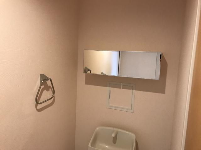 ＦｅｌｉｃｅⅢ（フェリーチェⅢ）のその他|その他