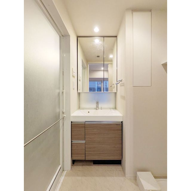 ブラウ住吉の洗面所