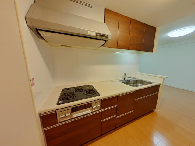 アルファステイツ大学病院通りのキッチン