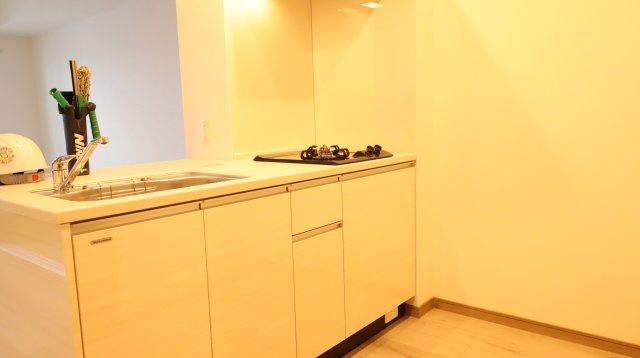 大町市大町の賃貸マンションのキッチン