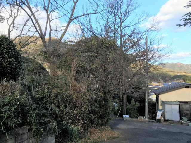 下田市　笹峯台の外観