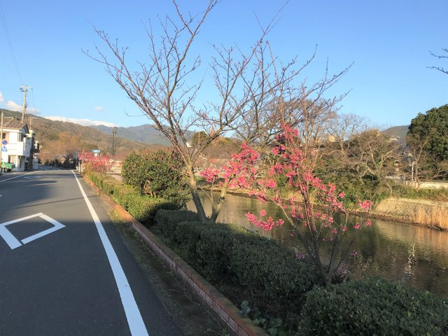 松崎町宮内の周辺